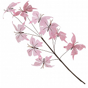 Ветки пасхальные