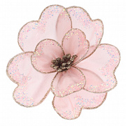 Цветы новогодние