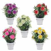 Цветочные композиции