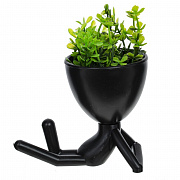 Цветочные композиции