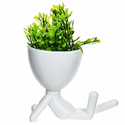 Цветочные композиции