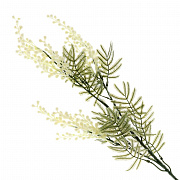 Ветки пасхальные