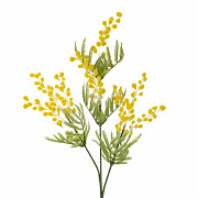 Ветки пасхальные