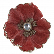 Цветы новогодние