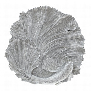 Блюда декоративные