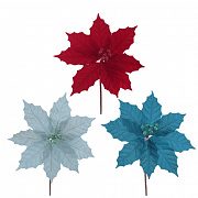 Цветы новогодние