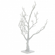 Деревья декоративные