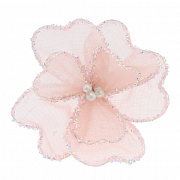 Цветы новогодние