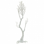 Деревья декоративные