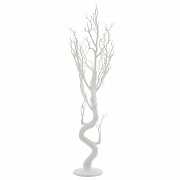 Деревья декоративные