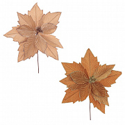 Цветы новогодние