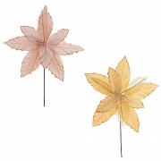 Цветы новогодние